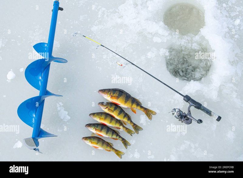 Ice fishing casino in United Kigdom