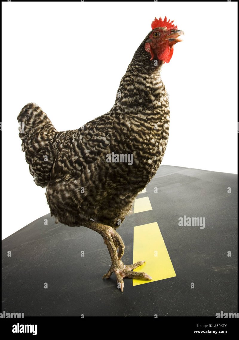 Conoce el Exclusivo Juego de Azar: Chicken Road España Online Oficial, chicken road online